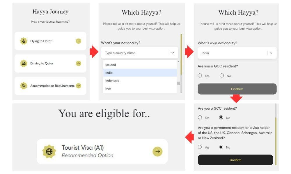 Answer Preliminary Questions - Qatar Tourist Visa (Hayya A1)
