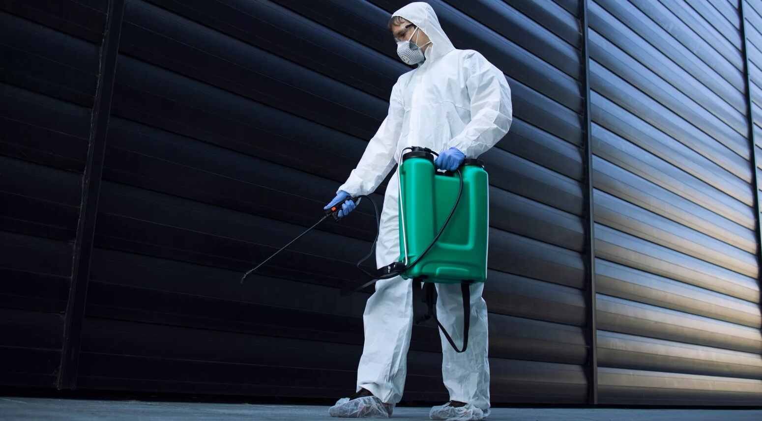 Pest Control Services in Qatar