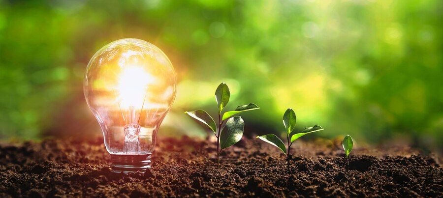 Waey Environmental Consultancy and Trading